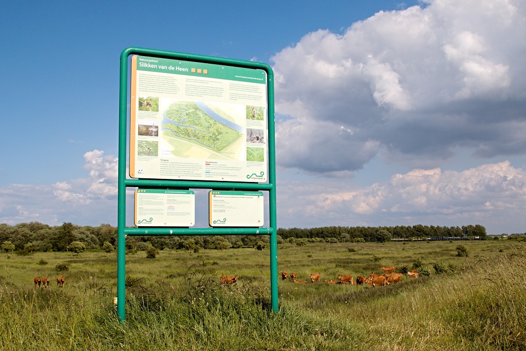 slikken van de heen natuurgebied natuur hdr Konikspaarden Uitkijktoren schotse hooglanders natuurmonumenten wisenten